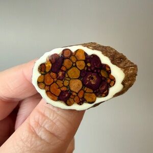 Beautiful Scottish Heathergems set in shed stag antler horn brooch.